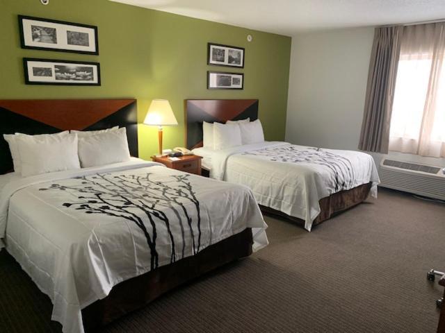 Sleep Inn South Bend Airport Стая снимка